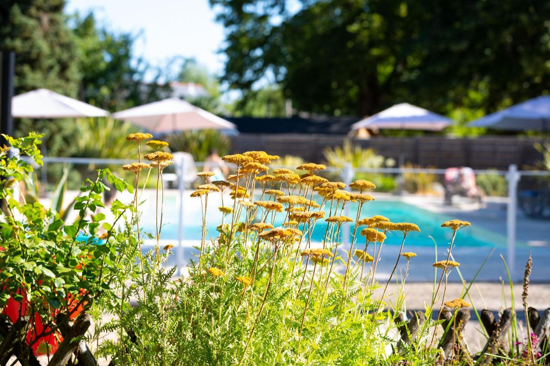 Hotel Mileade Le Domaine De La Blairie - Saumur Saint-Martin-de-la-Place Екстериор снимка